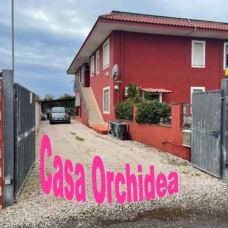 Casa Orchidea Apartman Fiumicino Kültér fotó