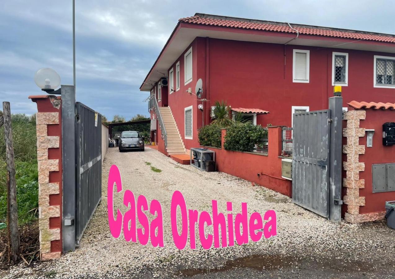 Casa Orchidea Apartman Fiumicino Kültér fotó